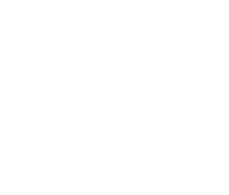 Professional
