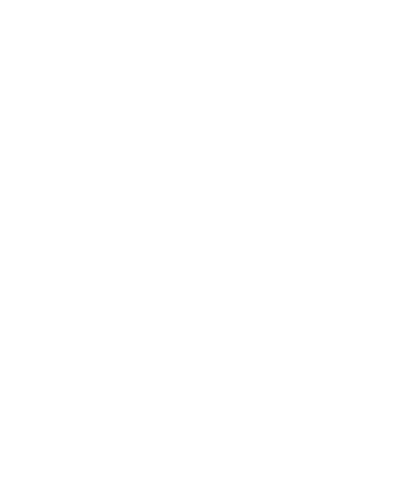 Security
